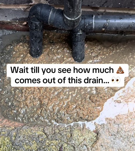 Unbelievable Blocked Drain Clean-Up Reveal