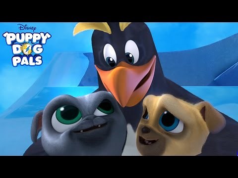 Waddle Waddle Waddle | Music Video | Puppy Dog Pals | Disney Junior