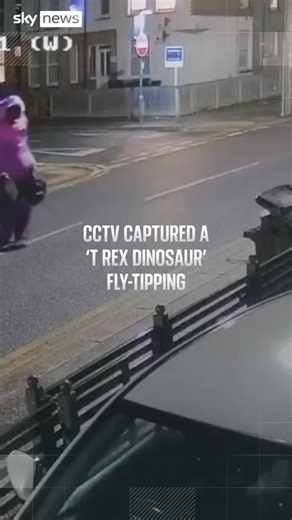 Breaking911 on Instagram: "🤔 CCTV caught a fly-tipper in a purple dinosaur costume dumping trash on the streets of Southend-on-Sea."