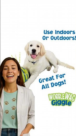 Wobble Wag Giggle Ball Review | Best Interactive Dog Toy