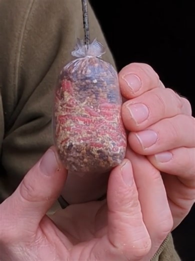 Effective Techniques for Carp Fishing with Maggot Bags