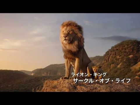 ライオン・キング-サークル・オブ・ライフ(Japanese)[音楽]