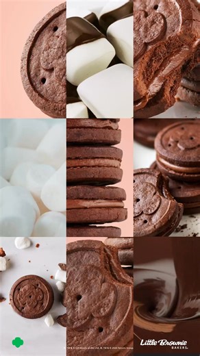 ✨️ Try the new Exploremores Girl Scout Cookie and help local troops have exciting adventures! 🍪 Find Girl Scout Cookies: gsofsi.org/findcookies | Girl Scouts of Southern Illinois