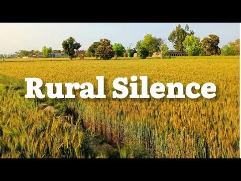 Quiet Countryside 🐄 |20 Minutes of Natural Peace Under the Sky