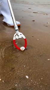 What is this white thing? #shorts #tranding #viral #facts | Random Fact TV