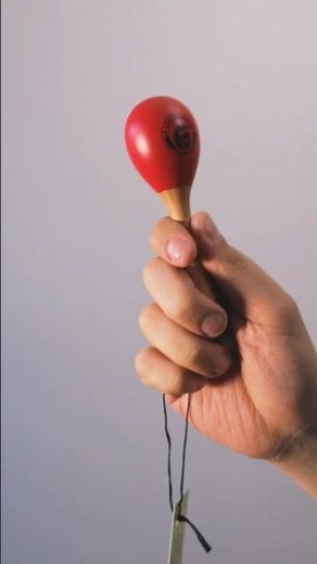 Rattlesnake Maraca Shaker - Sound Demo