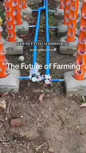 Aeroponics: El Futuro de la Agricultura Inteligente