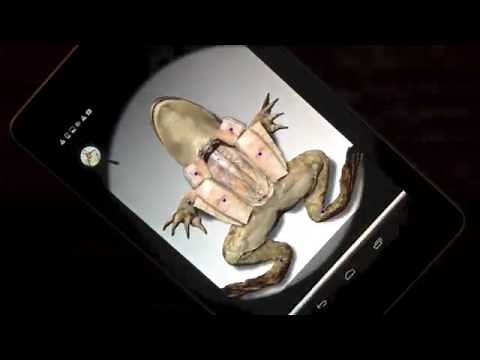 First Ever Android Virtual Frog Dissection App - by Froguts