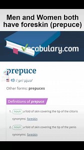 Smegma is a secretion of the oil glands around the genitals. For men, smegma often appears under the foreskin (prepuce) of the penis. In women, it’s most likely to appear between the folds of the labia or around the clitoral hood (prepuce). | Bloodstained Men & Their Friends