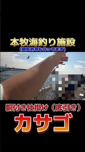 本牧海釣り施設 胴付き仕掛けの底引きでカサゴ釣ってみた！