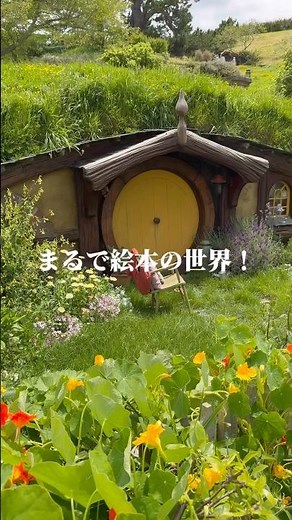 オークランド旅情報 人気観光地 #一人旅 #旅行 #オークランド #ニュージーランド #shorts