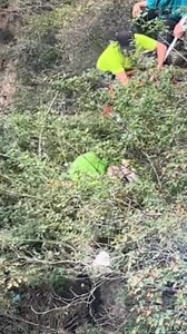 A woman's life hung by a thread, as she clung to a tree branch after a fall. During a tense rescue, quick-thinking passersby used thermal blankets to create an emergency rope, pulling her to safety. #StoryofChina #EverydayHero | Xi's Moments