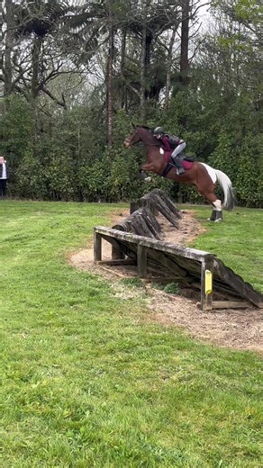 Mr whippy in are last day of are 3 day eventing course mr whippy was out standing cleared nearly every jump!#80 thanm youu @Ruby 🫶🏻 @secret @Molly @💗Bolly💗 for being so suportive great time with you all!