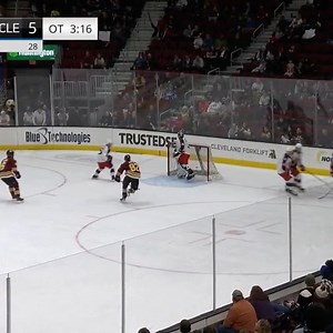 1.4K views · 28 reactions | Chicago Wolves on Reels | Facebook