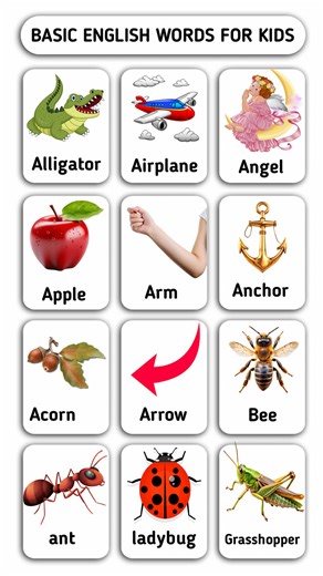 Fun Basic English Words for Kids Learn basic English words with fun examples! From Alligator to Ladybug, discover new vocabulary words that will help you improve your language skills. Perfect for kids, this video features engaging words to learn and remember Basic English Words Kids Vocabulary Learning English English for Kids Vocabulary Building Kids Education Language Skills Alphabet Learning Fun Learning Educational Video Kids Language Word Recognition Animal Words Object Words Early Learning