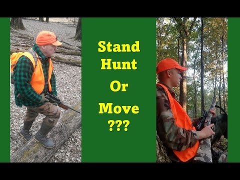 Conversation Starter: Stand Hunt or Move for Deer?