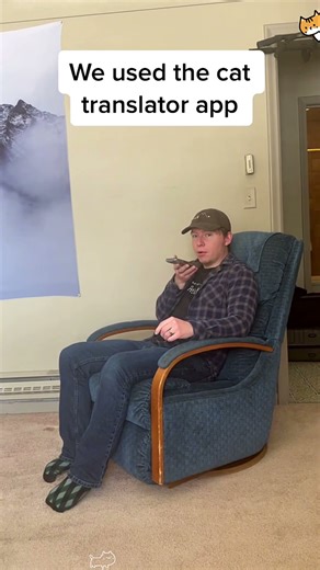 Communicate with your cat using a cat translator #cats #funny #funnycats #pets #talkingcat #animals