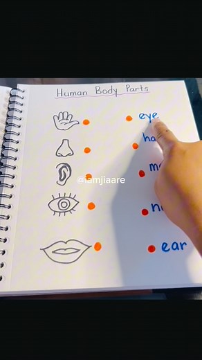 22 reactions | This week’s tasks 珞﫶 I’m super excited for this one #toddlerlearningjournal #toddler #ScreenFreeChallenge #toddlerlearningactivities #screenfreeactivities #speechdelay | Leck Xie | Facebook