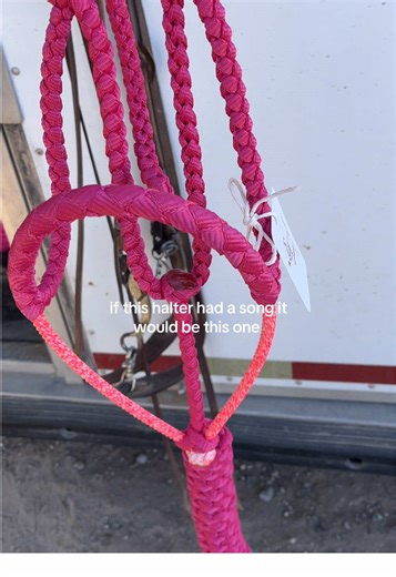 she’s so whimsy and pretty 🌷🌸🩰👛💅🏻 #buckincbraiding #muletapetack #muletapehalter #rodeo #western