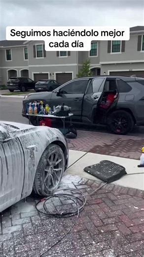 #viral #limpiesa #detailing