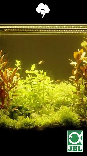 🌩️⚡ JBL LED SOLAR CONTROL - Thunderstorms #shorts #meinjbl #myjbl