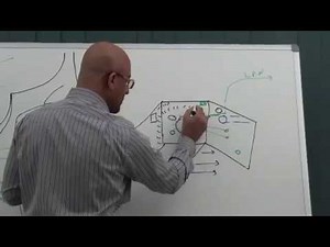 Middle Ear | Gross Anatomy | Part 6/9