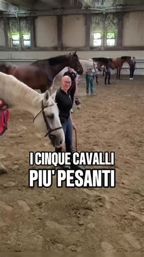 Peso cavalli BB Powerhorse: la classifica vincente di oggi