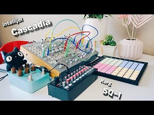 Ambient Jam by Intellijel Cascadia, Korg SQ-1, and Novation LaunchPad