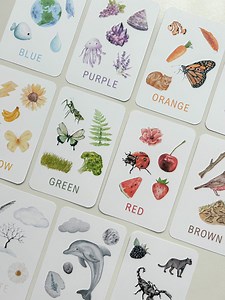 11 Children’s Nature Colour Flashcards Printable, Kids Learn Colour Cards, Language Development, Color Recognition & Sorting - Etsy