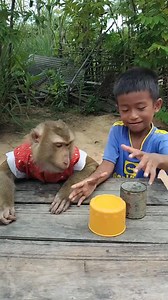 442K views · 14K reactions | Smart monkey  loves to play game with child.. #monkey #animals #smartmonkey #monkeylove | Best Life Pets | Facebook