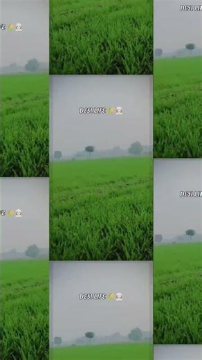 Desi life farming boy shantanu #desi #farmerlife #trendingshorts #खेतीबाड़ी_किसान #farmer #shorts