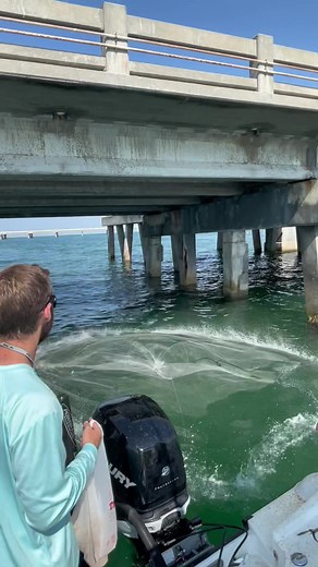 Skyway Bridge Fishing: Cast Netting Bait Fish in Florida