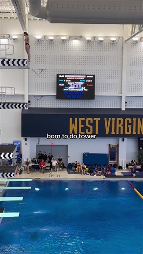 Dont ask me about back armstand on 10 meter though 😋 #diving #fail #d1athlete #fyp #athlete