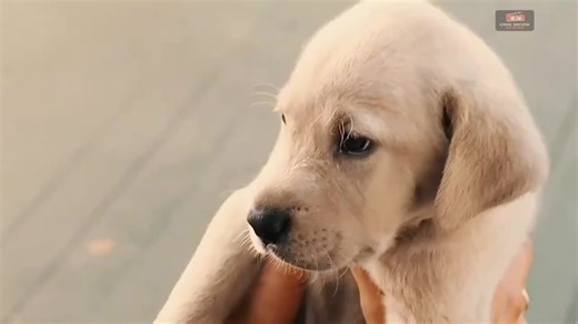 Rising Sun (@risingsun_5818)’s videos with original sound - Rising Sun