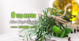 9 Top Herbs That Fight Parasites Naturally