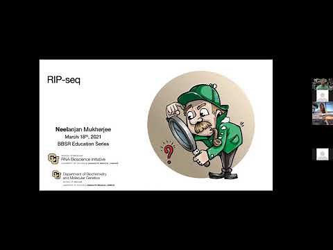 Identifying RNA Targets for RBPs with RIP seq