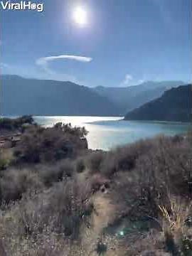 Mountain Lion Chases Man In Hair-Raising Video