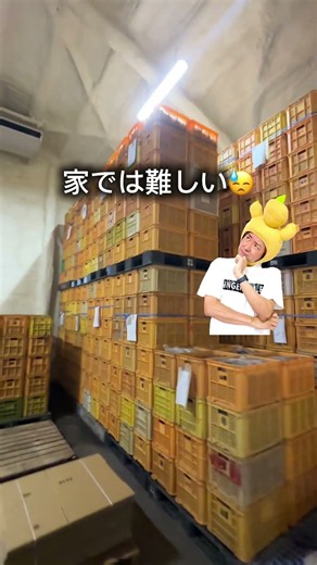 収穫したての生姜の保存方法