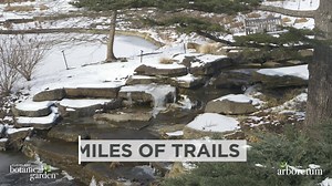 205 reactions · 28 shares | Get outside and embrace winter at Holden Forests & Gardens two beautiful campuses--the Holden Arboretum and Cleveland Botanical Garden. From miles of hiking trails to bird-watching to snowshoeing and cross-country skiing, experience winter fun at our urban and rural locations. Reservations required. Visit holdenfg.org. | The Holden Arboretum | Facebook