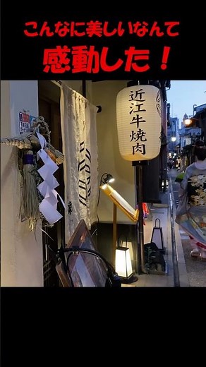 本物は感動レベルの美しさでドキドキ💓京都花街の先斗町 #京都 #京都観光 #京都旅行