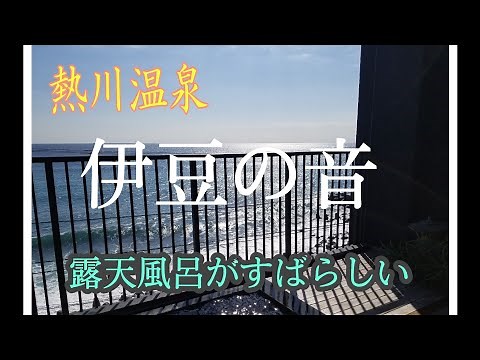 【女一人旅】熱川の大海原！温泉、伊勢海老、アワビ、ステーキを楽しむ！
