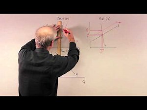 Econ1001 Chapter 6, Questions 10 and 11 (Bonus)