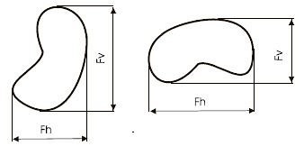 Feret diameter - Alchetron, The Free Social Encyclopedia