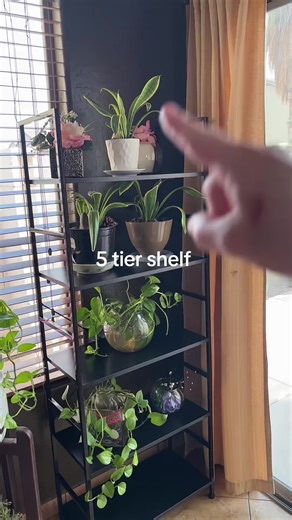 5 Tier Shelf Organization Ideas
