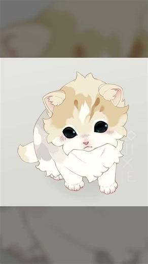 Whimsykit ♡ Animated Loop