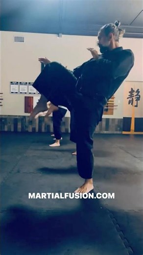 Martial Fusion Knee Striking Drills Hiza Geri