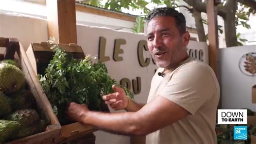 In Guadeloupe, local pesticide-free farming restores trust in food