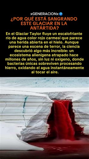 🩸❄️ Cascadas de Sangre: El Ecosistema "Alien" que Respira Hierro en la Antártida