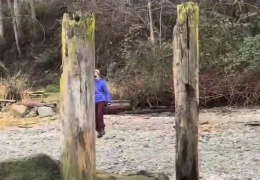 @ReinprechtB You were spotted harassing canvassers.