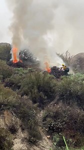 U.S. Forest Service - Cleveland National Forest on Reels